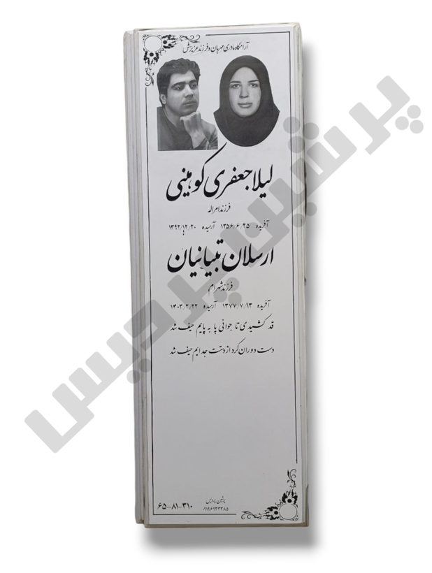 پرشین نانو